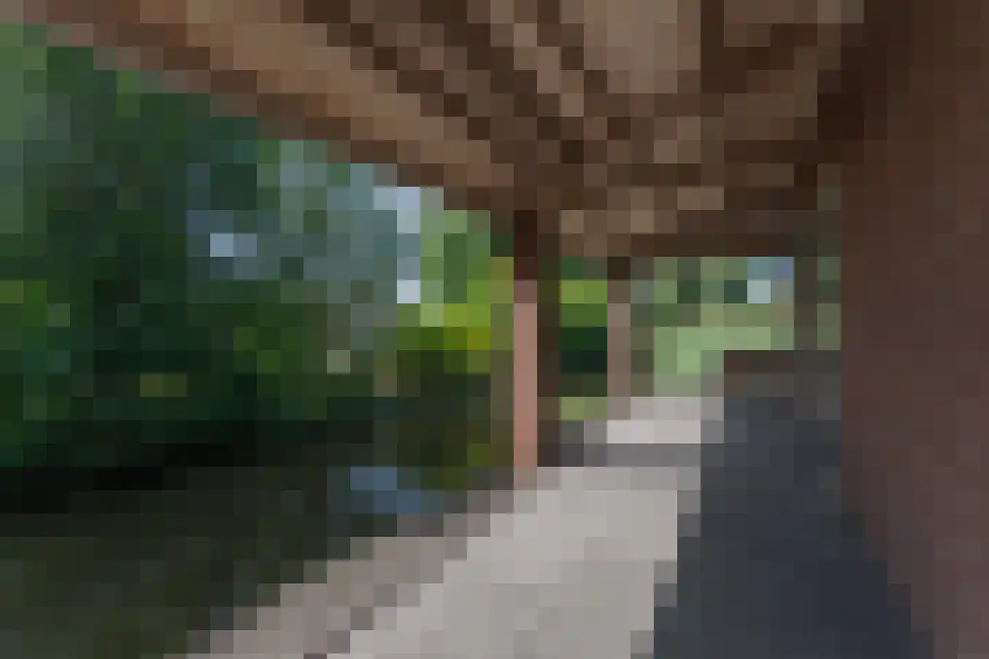 Molenstraat 20 Grootebroek thumbnail 8