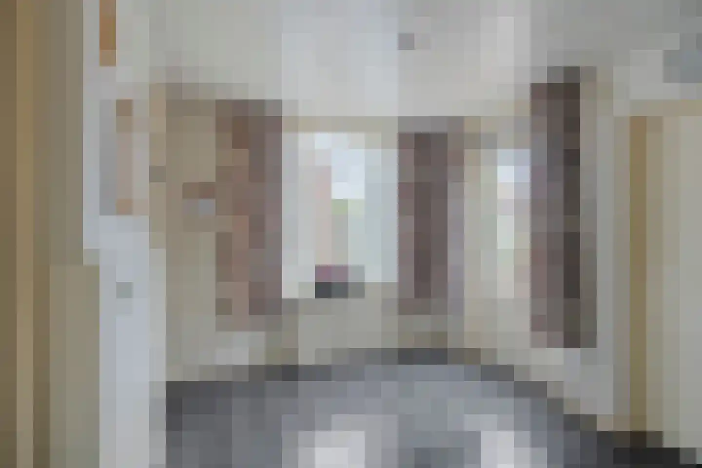 Molenstraat 20 Horst thumbnail 12