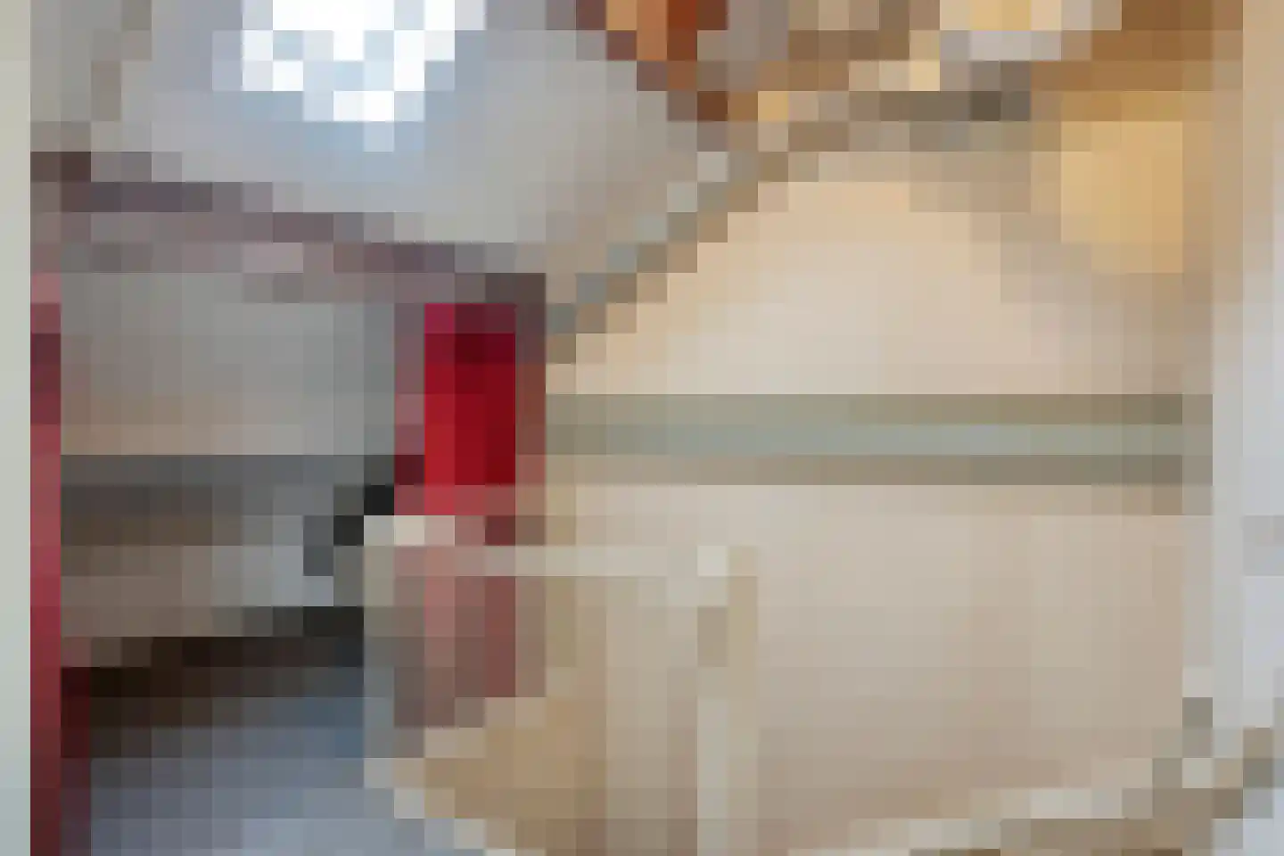 Molenstraat 20 Horst thumbnail 24
