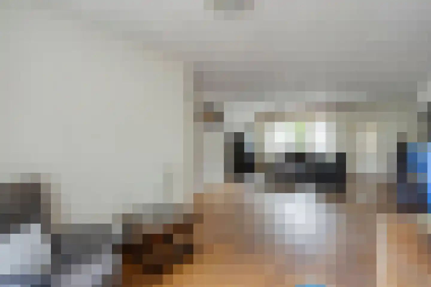 Molenstraat 20 Horst thumbnail 8