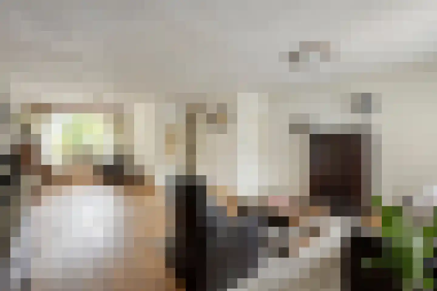 Molenstraat 20 Horst thumbnail 9