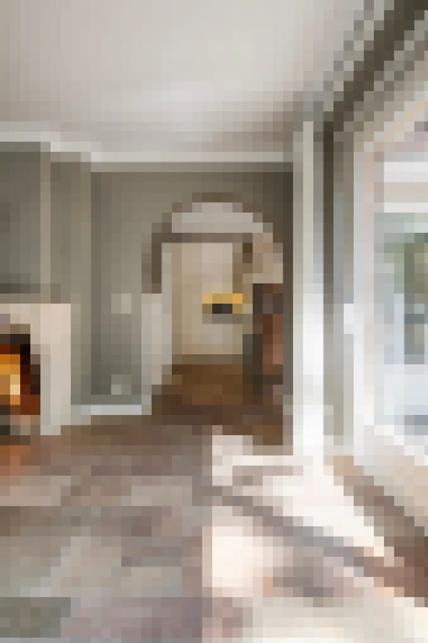 Molenstraat 20 Rosmalen thumbnail 11