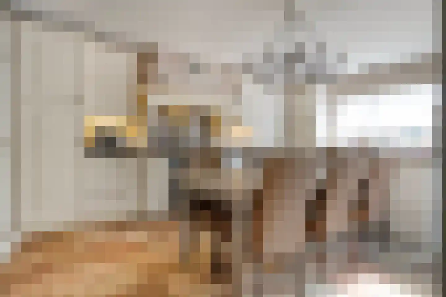 Molenstraat 20 Rosmalen thumbnail 12