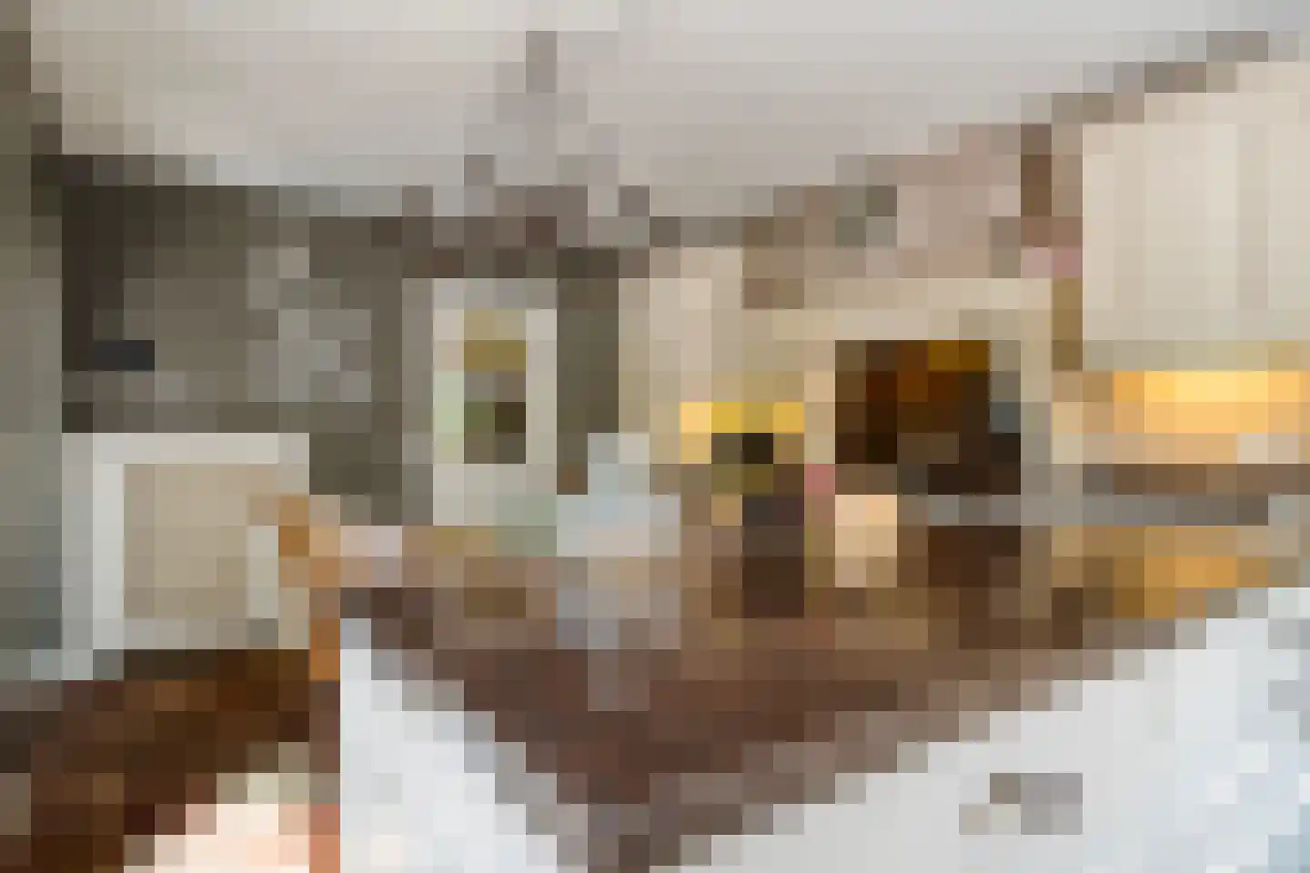 Molenstraat 20 Rosmalen thumbnail 17
