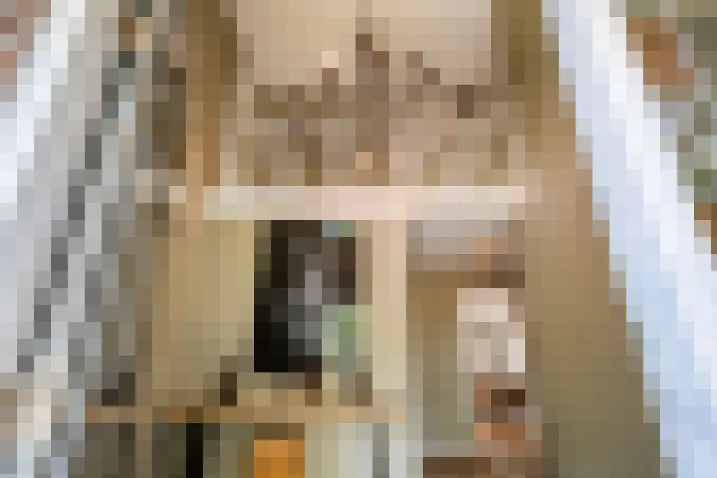 Molenstraat 20 Rosmalen thumbnail 22