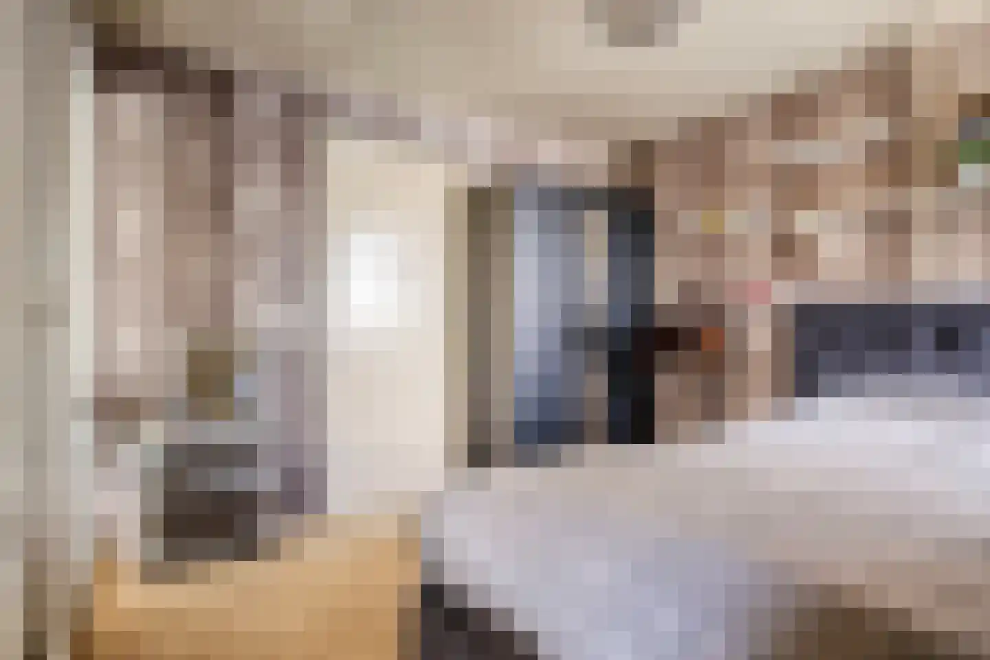 Molenstraat 20 Rosmalen thumbnail 26