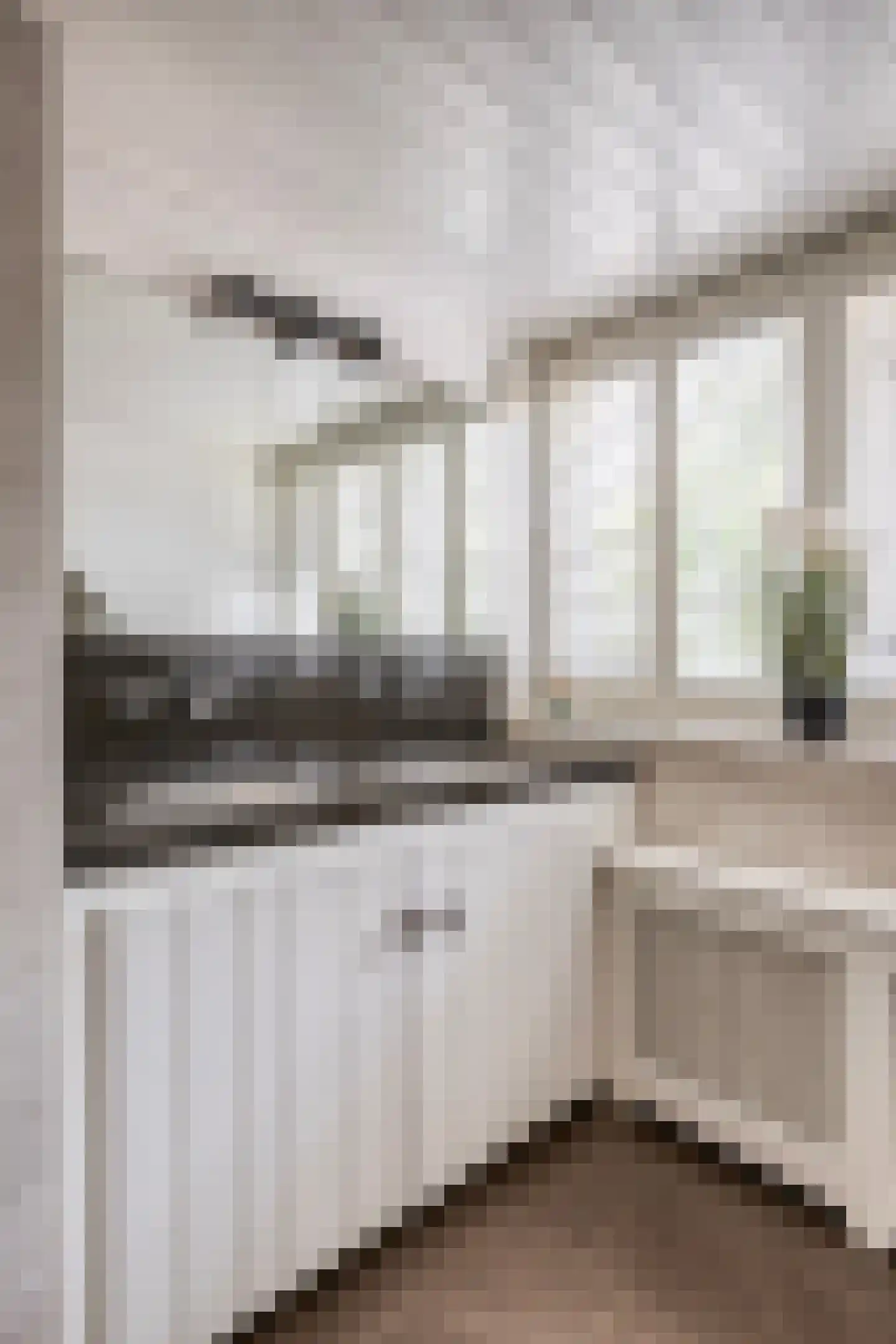 Molenstraat 20 Rosmalen thumbnail 35
