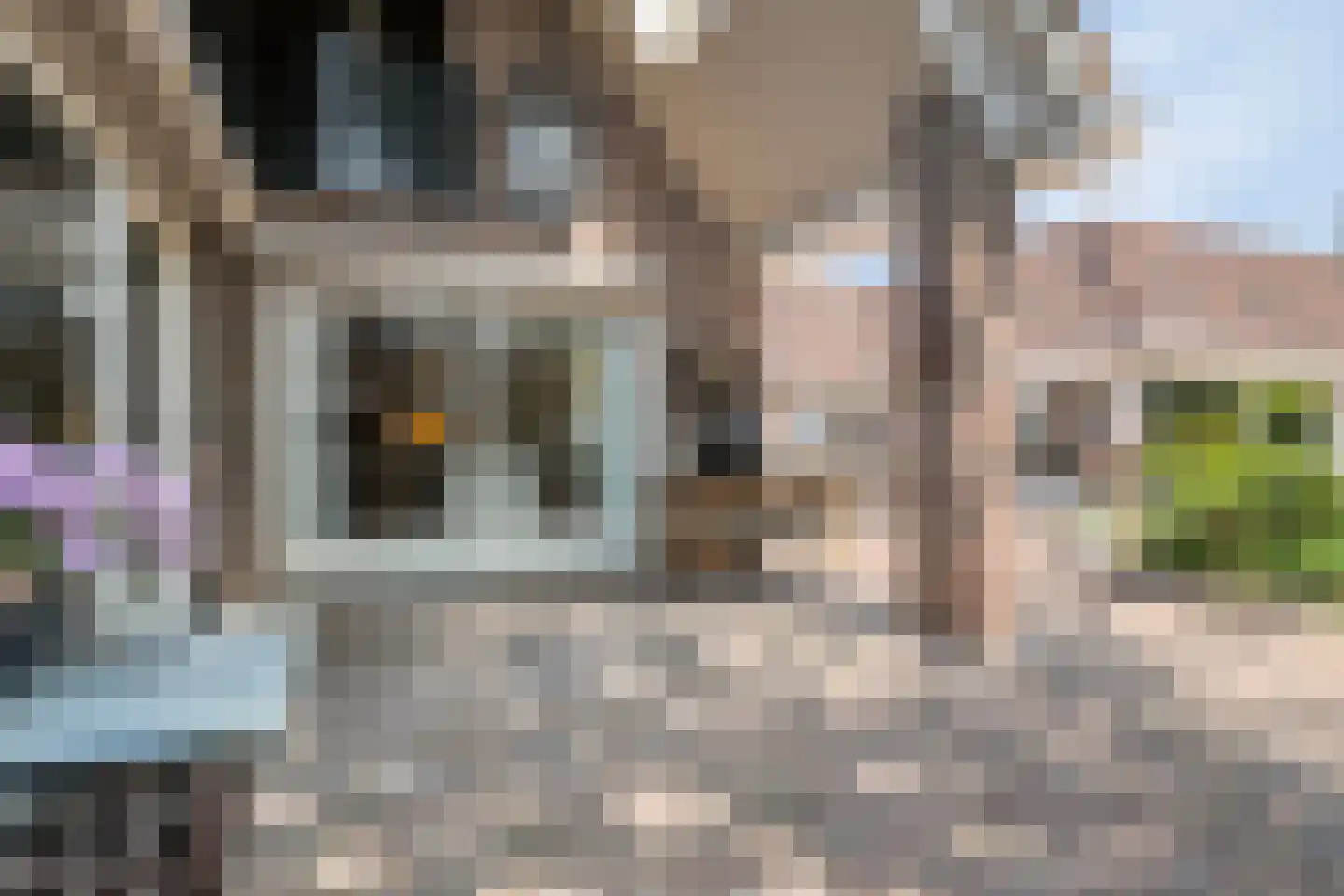 Molenstraat 20 Rosmalen thumbnail 41