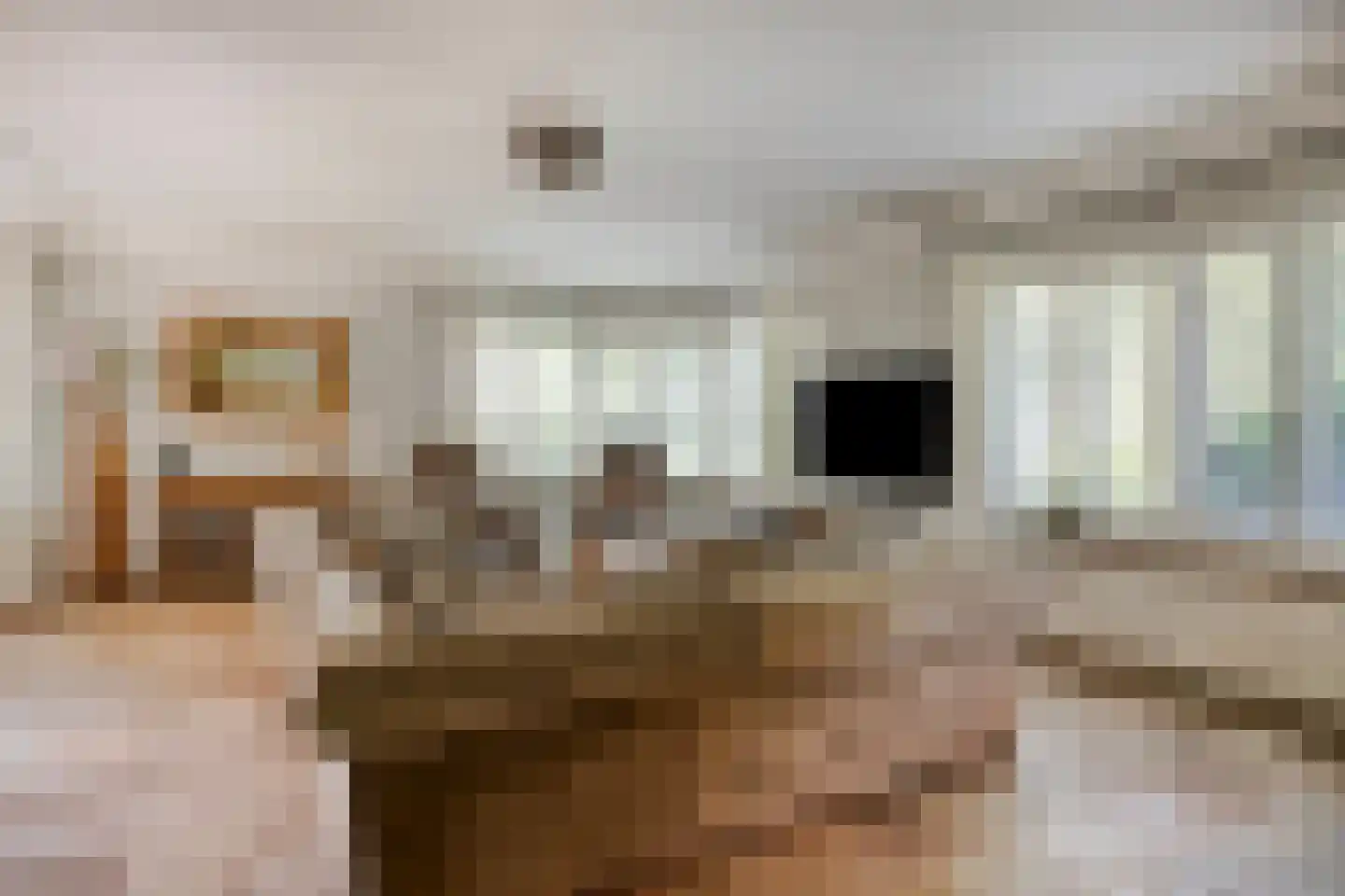 Molenstraat 20 Rosmalen thumbnail 5
