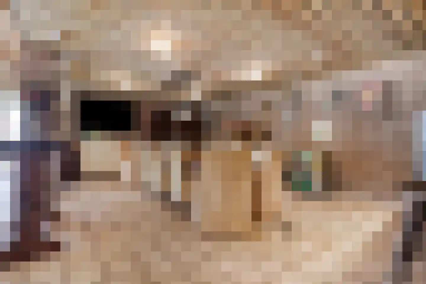 Molenstraat 20 Rosmalen thumbnail 52