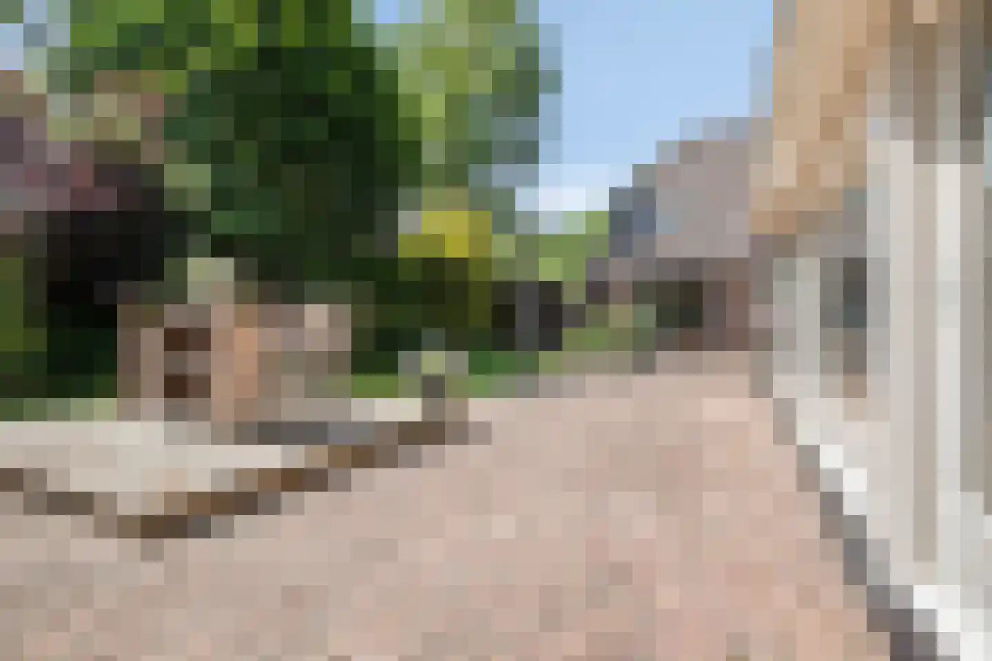 Molenstraat 20 Rosmalen thumbnail 59
