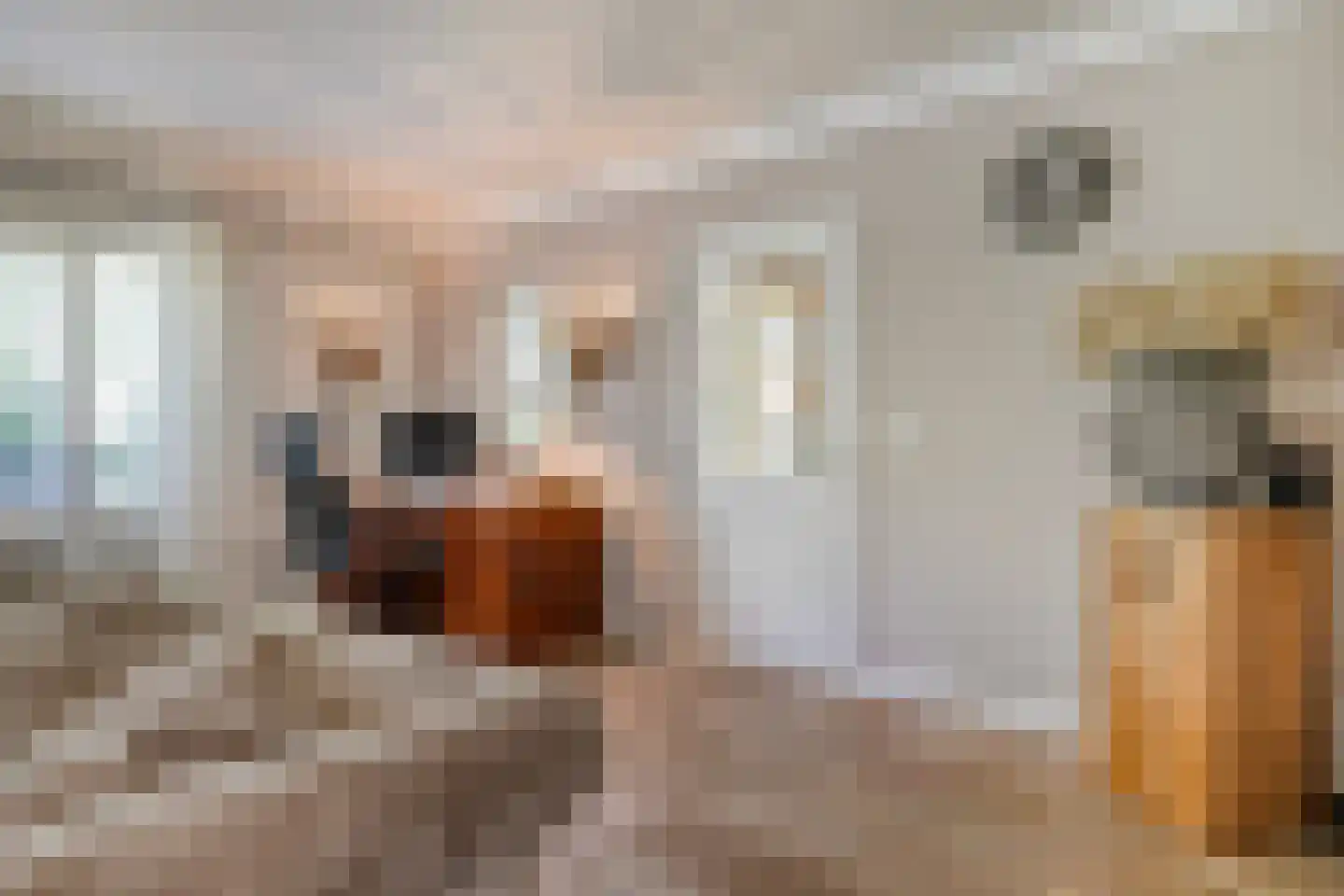 Molenstraat 20 Rosmalen thumbnail 7