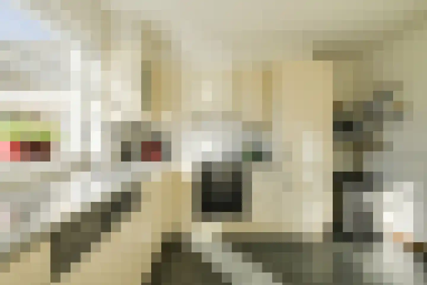 Molenstraat 20 Terheijden thumbnail 19