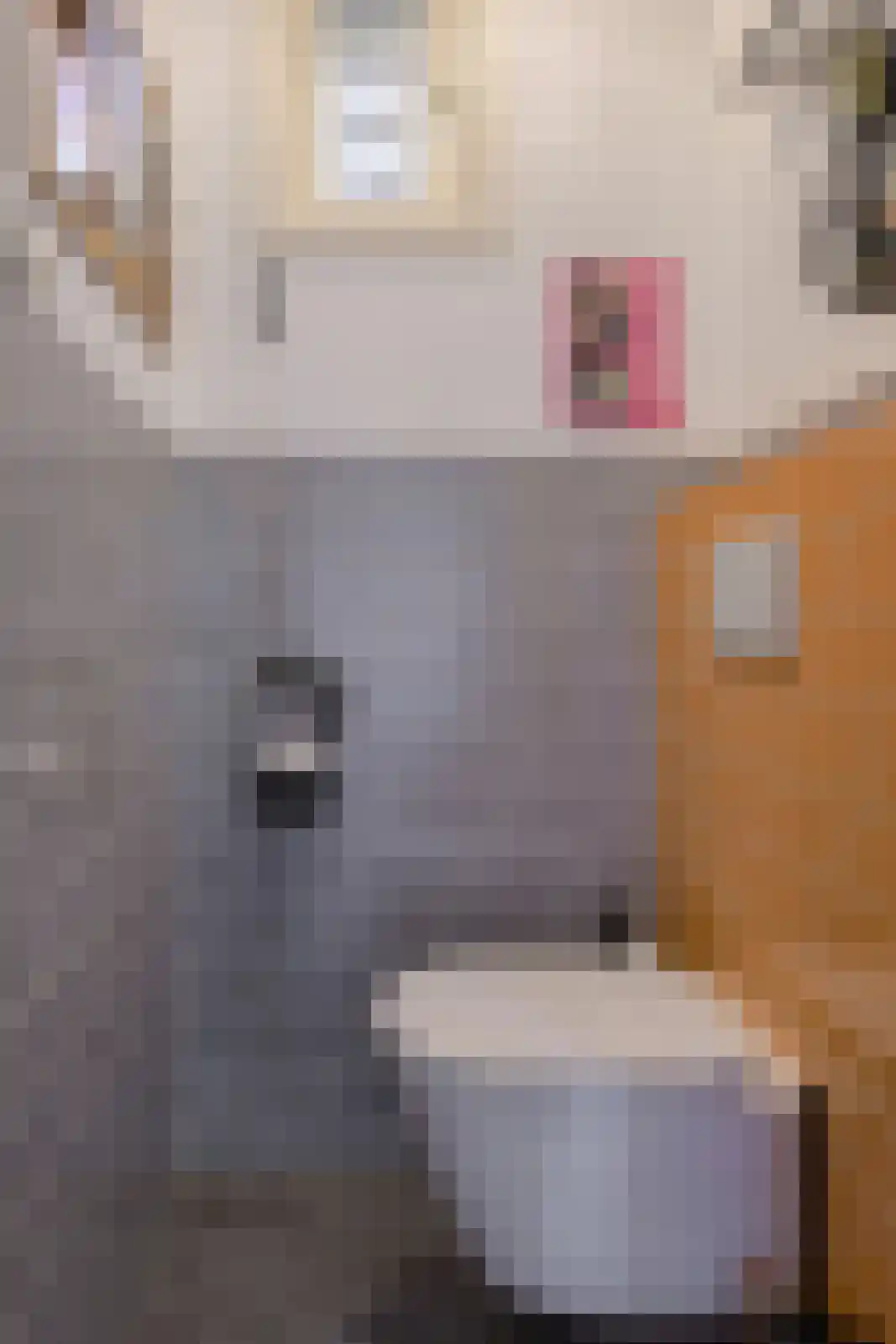 Molenstraat 20 Terheijden thumbnail 26