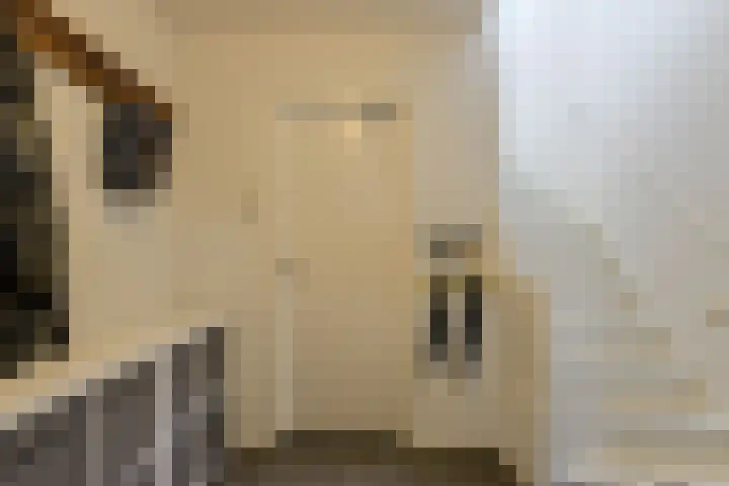 Molenstraat 20 Terheijden thumbnail 27