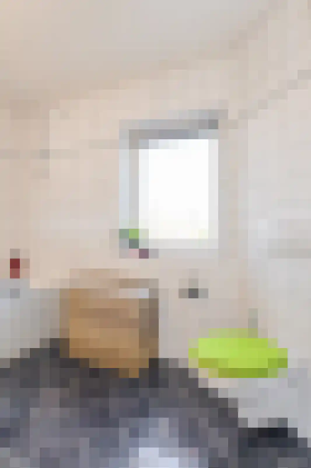 Molenstraat 20 Terheijden thumbnail 31