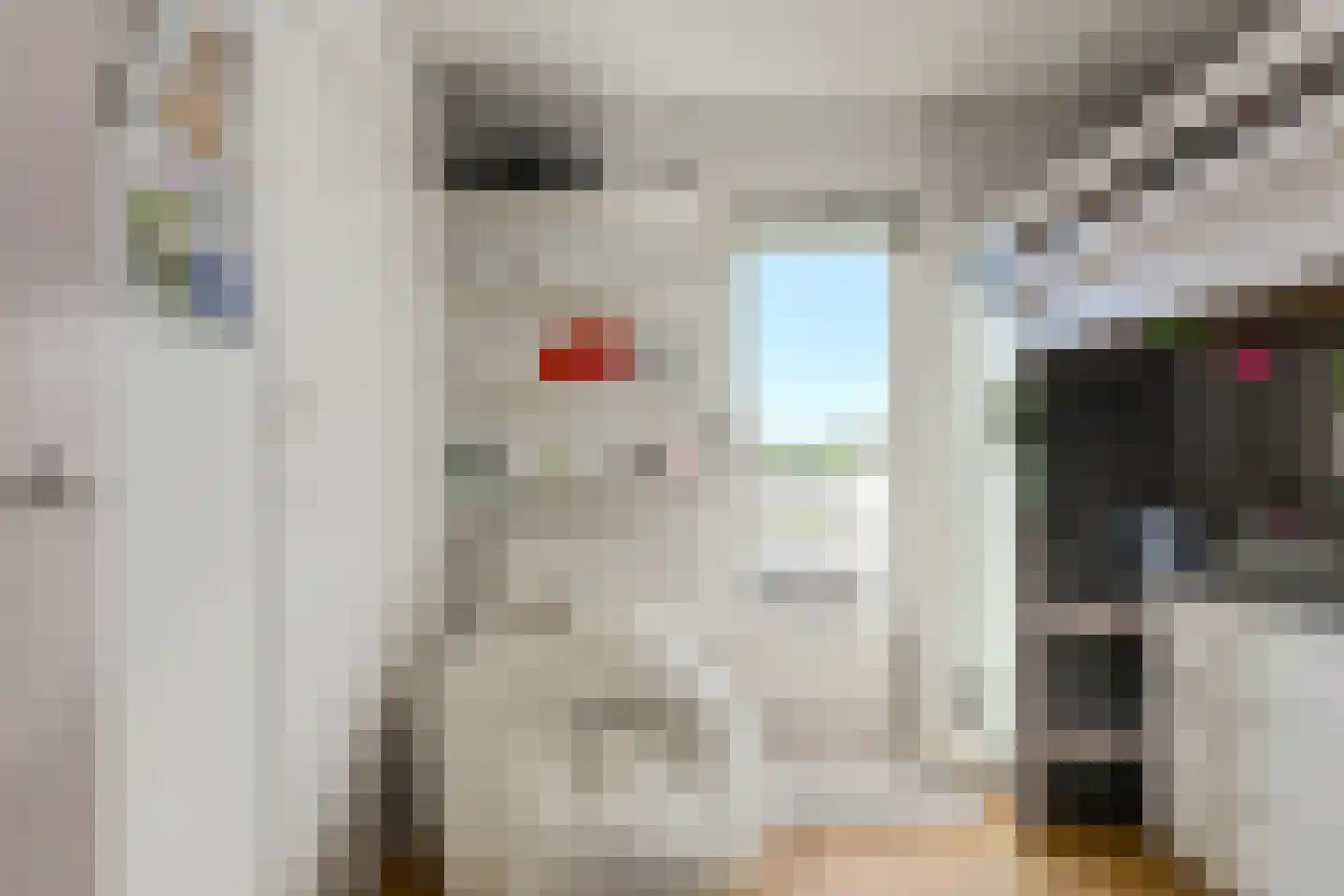 Molenstraat 20 Terheijden thumbnail 38