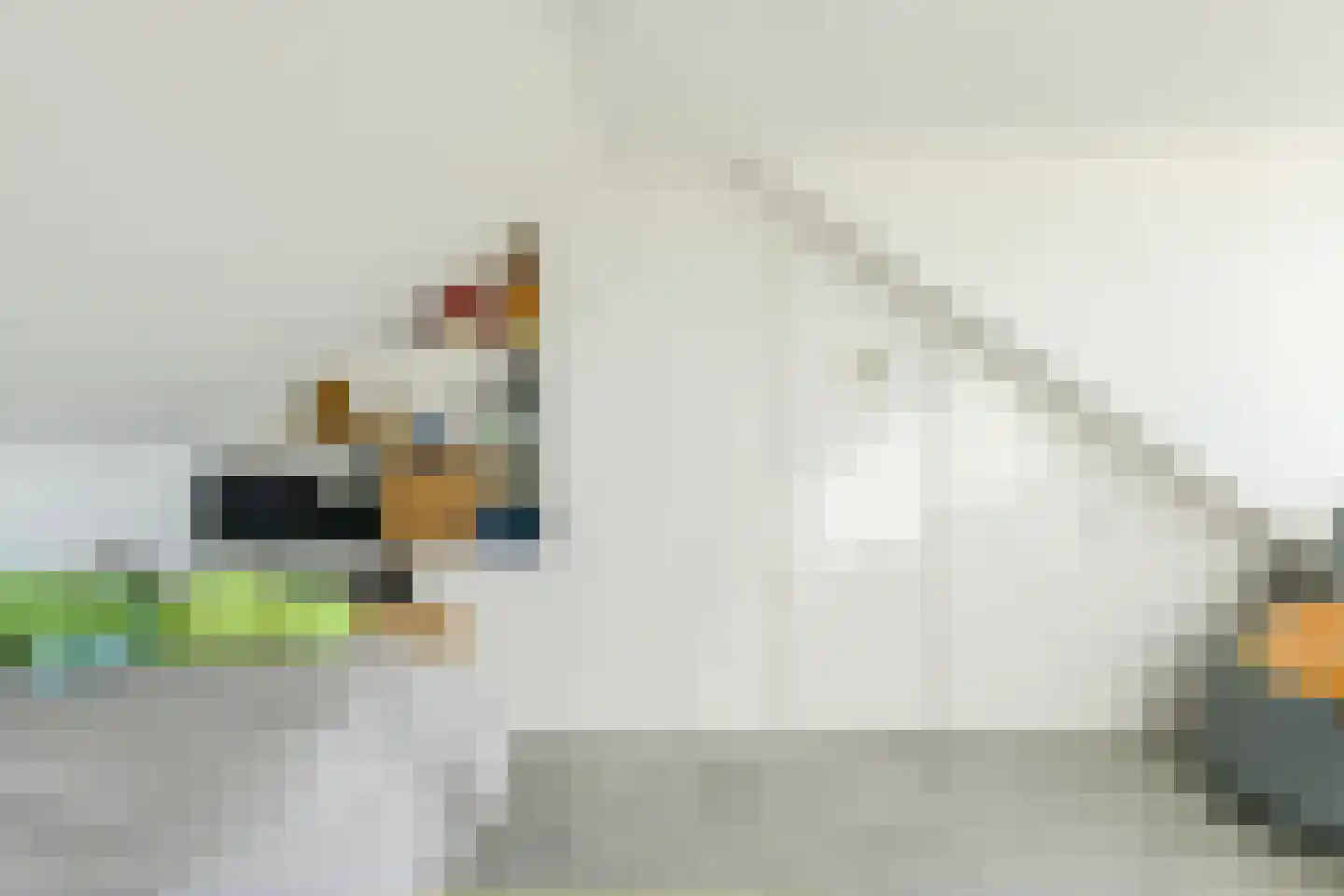 Molenstraat 20 Terheijden thumbnail 44