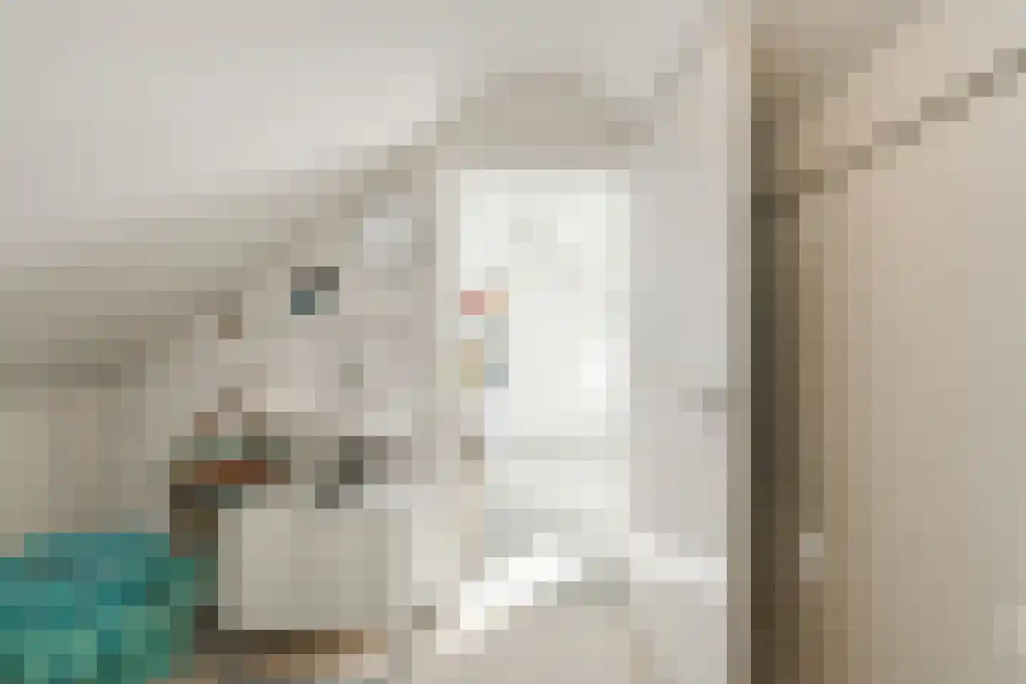 Molenstraat 20 Terheijden thumbnail 48