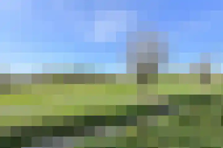 Molenstraat 20 Terheijden thumbnail 52