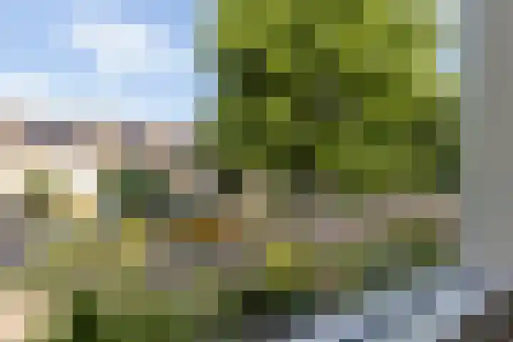 Molenstraat 20 Vught thumbnail 32