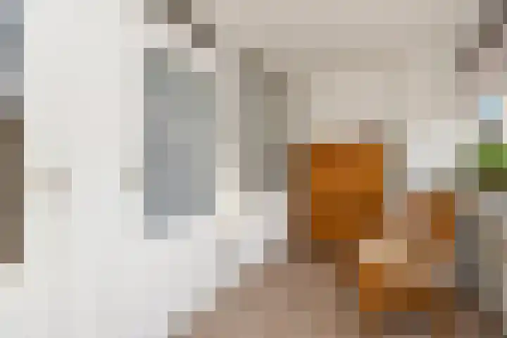 Molenstraat 201 Oss thumbnail 36