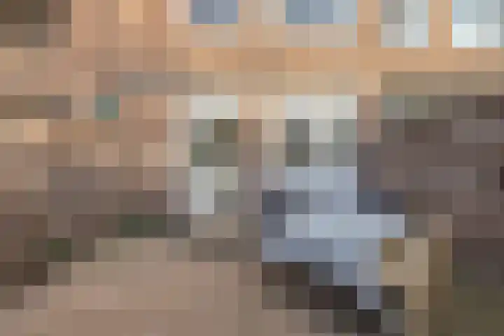 Molenstraat 201 Oss thumbnail 41