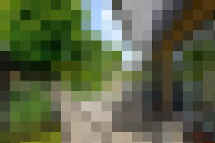 Molenstraat 202 Monster thumbnail 13