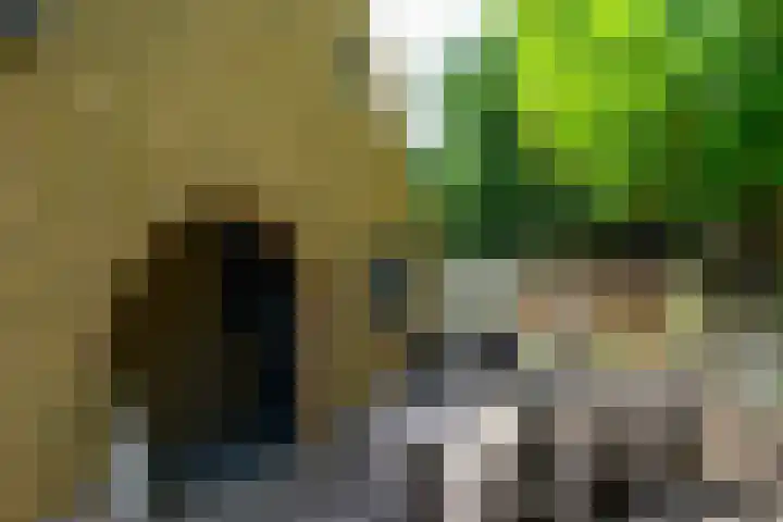 Molenstraat 202 Monster thumbnail 14