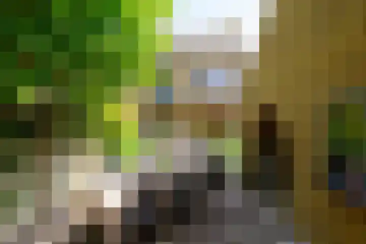Molenstraat 202 Monster thumbnail 15