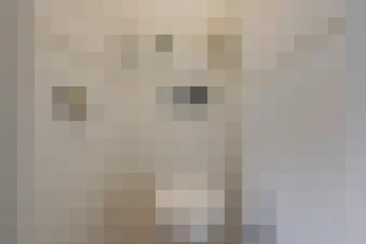 Molenstraat 202 Monster thumbnail 22
