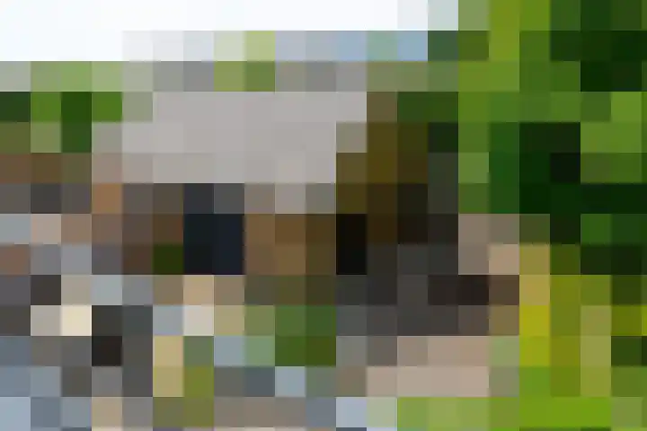 Molenstraat 202 Monster thumbnail 37