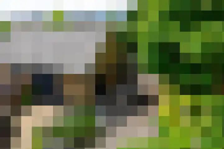 Molenstraat 202 Monster thumbnail 38