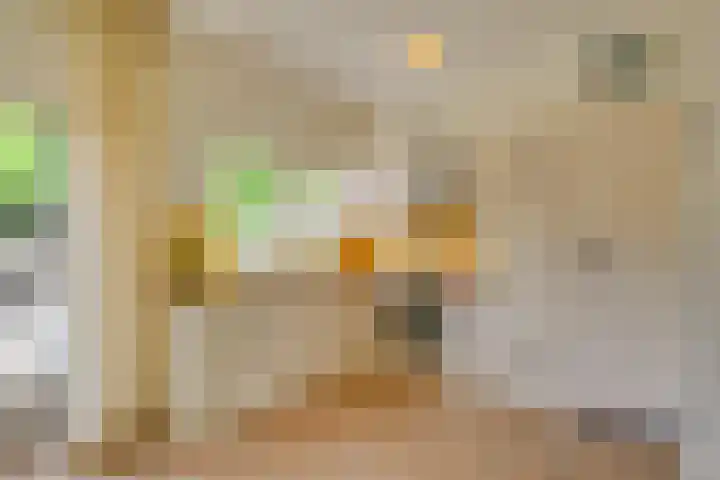 Molenstraat 202 Monster thumbnail 4