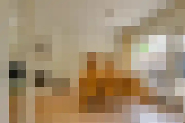 Molenstraat 202 Monster thumbnail 7