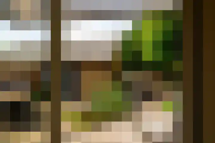 Molenstraat 202 Monster thumbnail 9