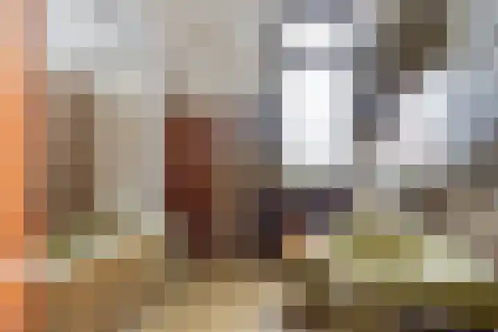 Molenstraat 203 Helmond thumbnail 28