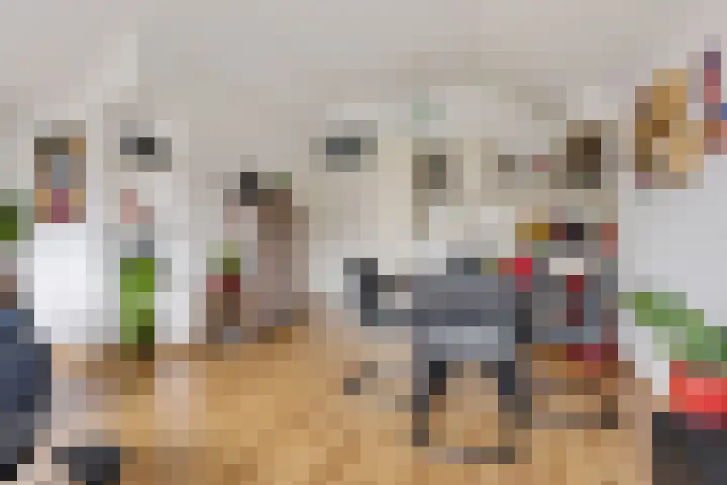 Molenstraat 207 Oss thumbnail 12