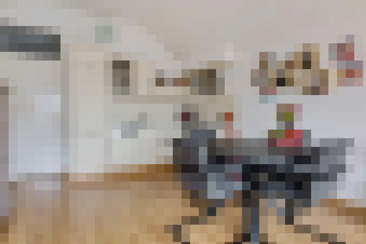 Molenstraat 207 Oss thumbnail 13