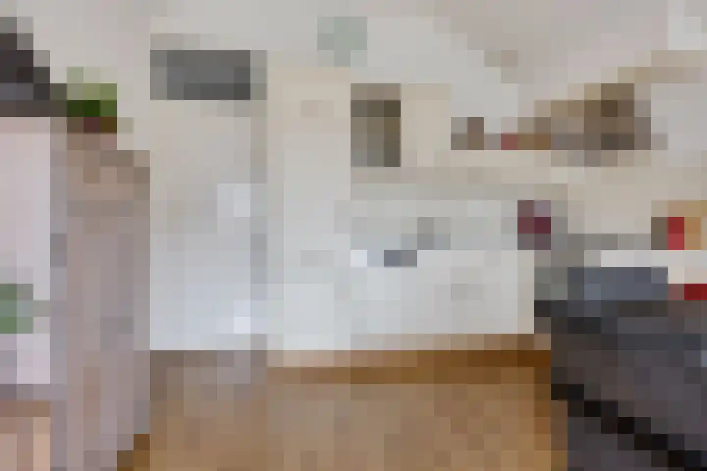 Molenstraat 207 Oss thumbnail 14