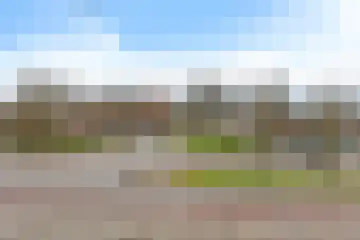 Molenstraat 207 Oss thumbnail 20