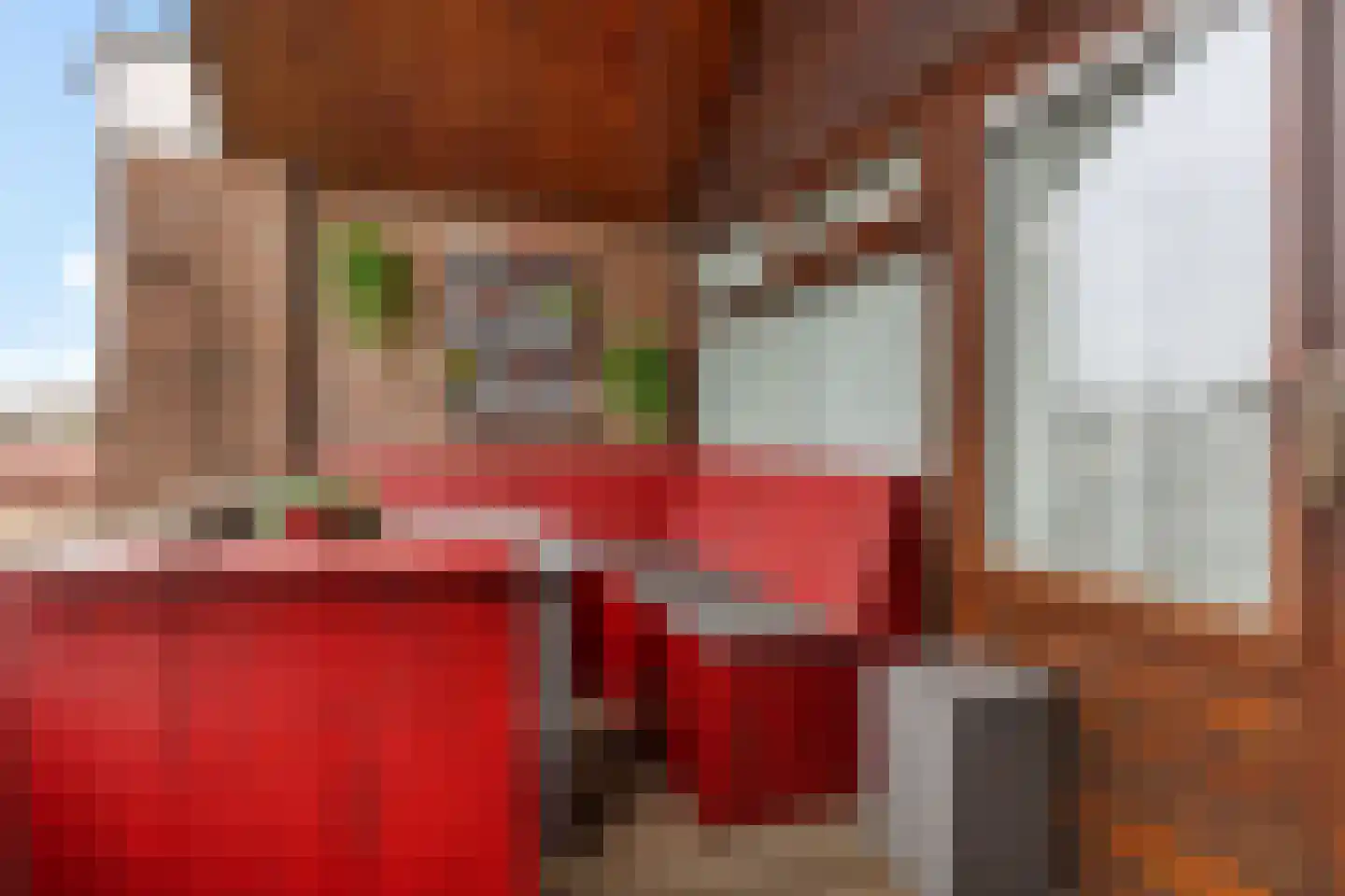 Molenstraat 207 Oss thumbnail 24