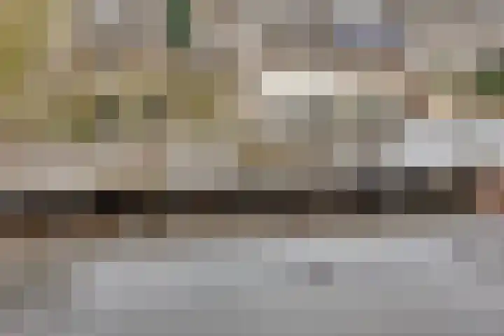 Molenstraat 207 Oss thumbnail 27