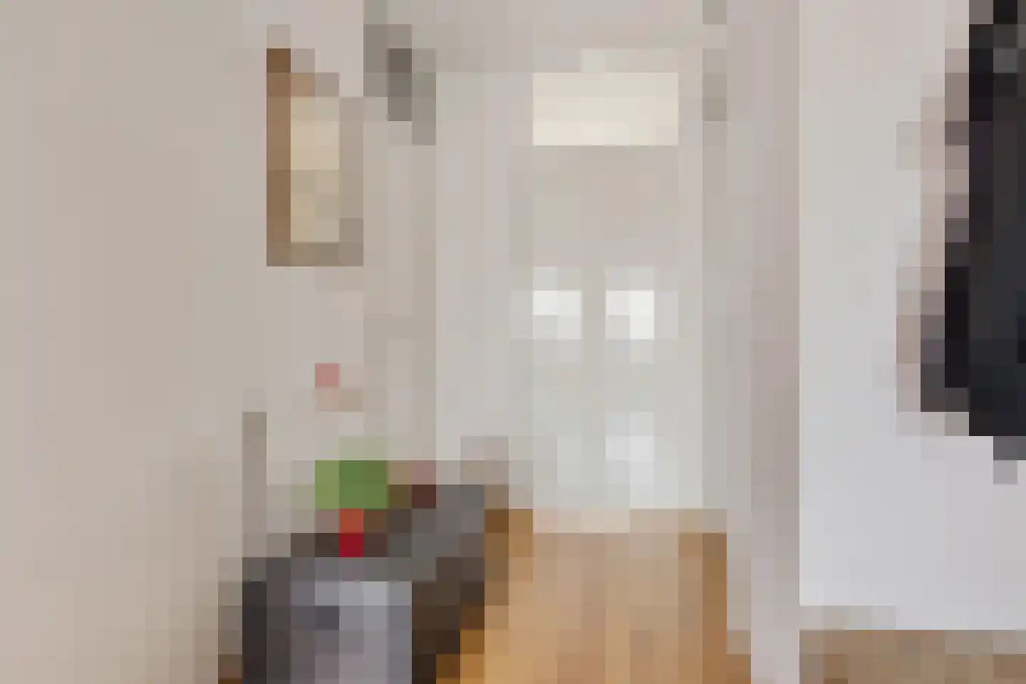 Molenstraat 207 Oss thumbnail 6