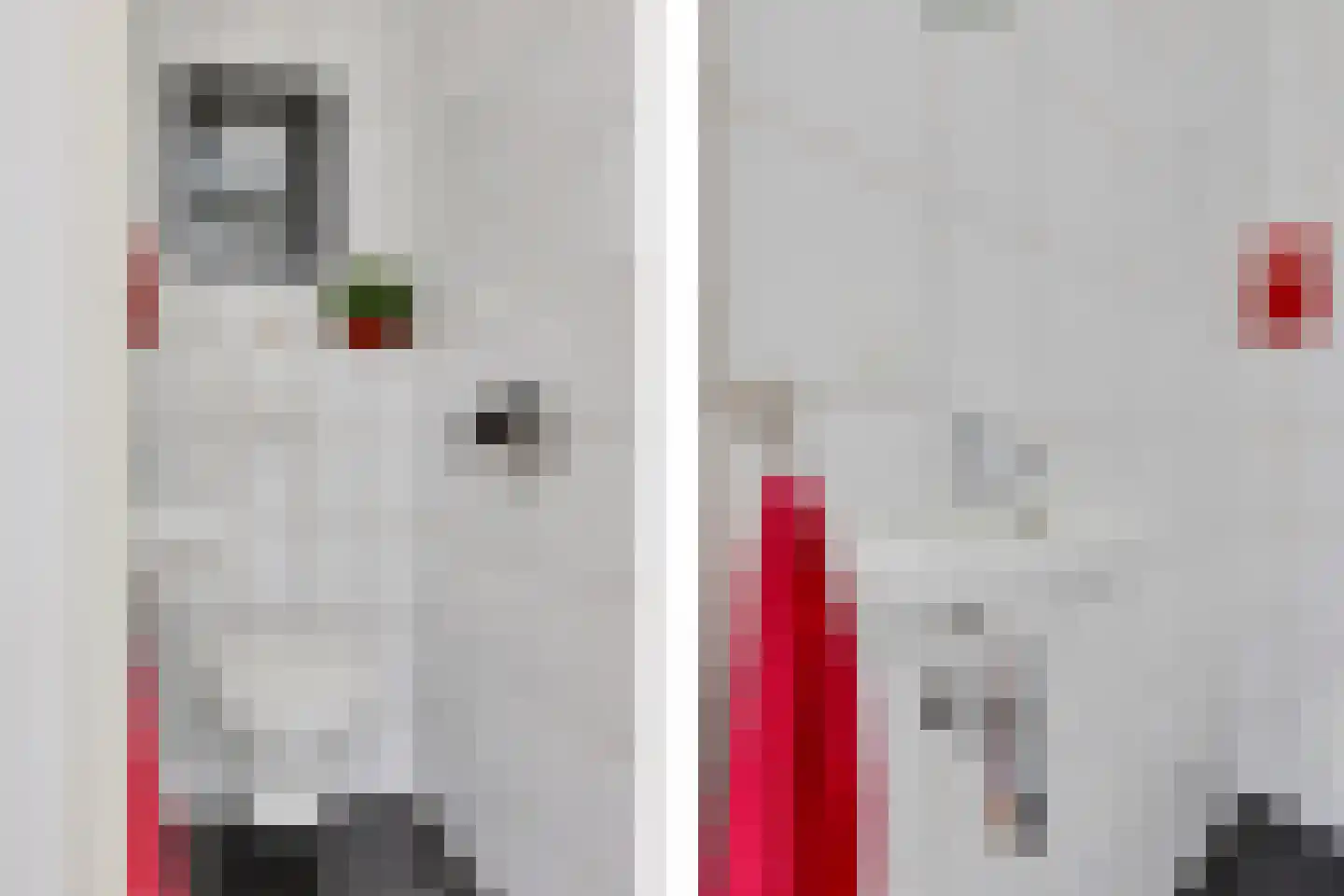 Molenstraat 207 Oss thumbnail 7
