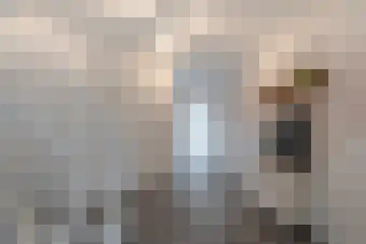 Molenstraat 21 Ameide thumbnail 10