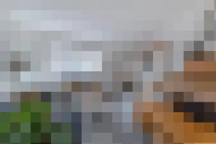 Molenstraat 21 Ameide thumbnail 13
