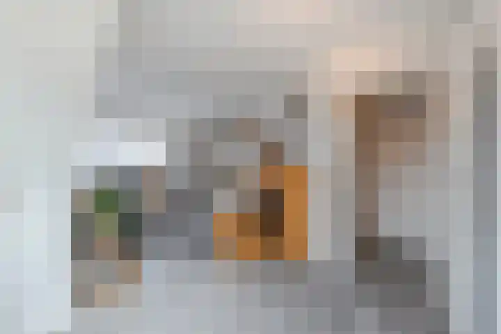 Molenstraat 21 Ameide thumbnail 18