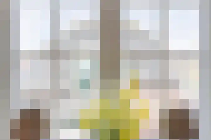 Molenstraat 21 Ameide thumbnail 23