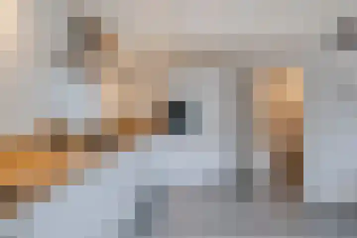 Molenstraat 21 Ameide thumbnail 25